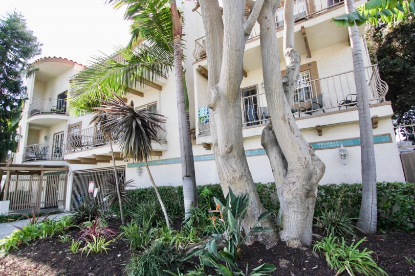 Casa Roswell Long Beach CA